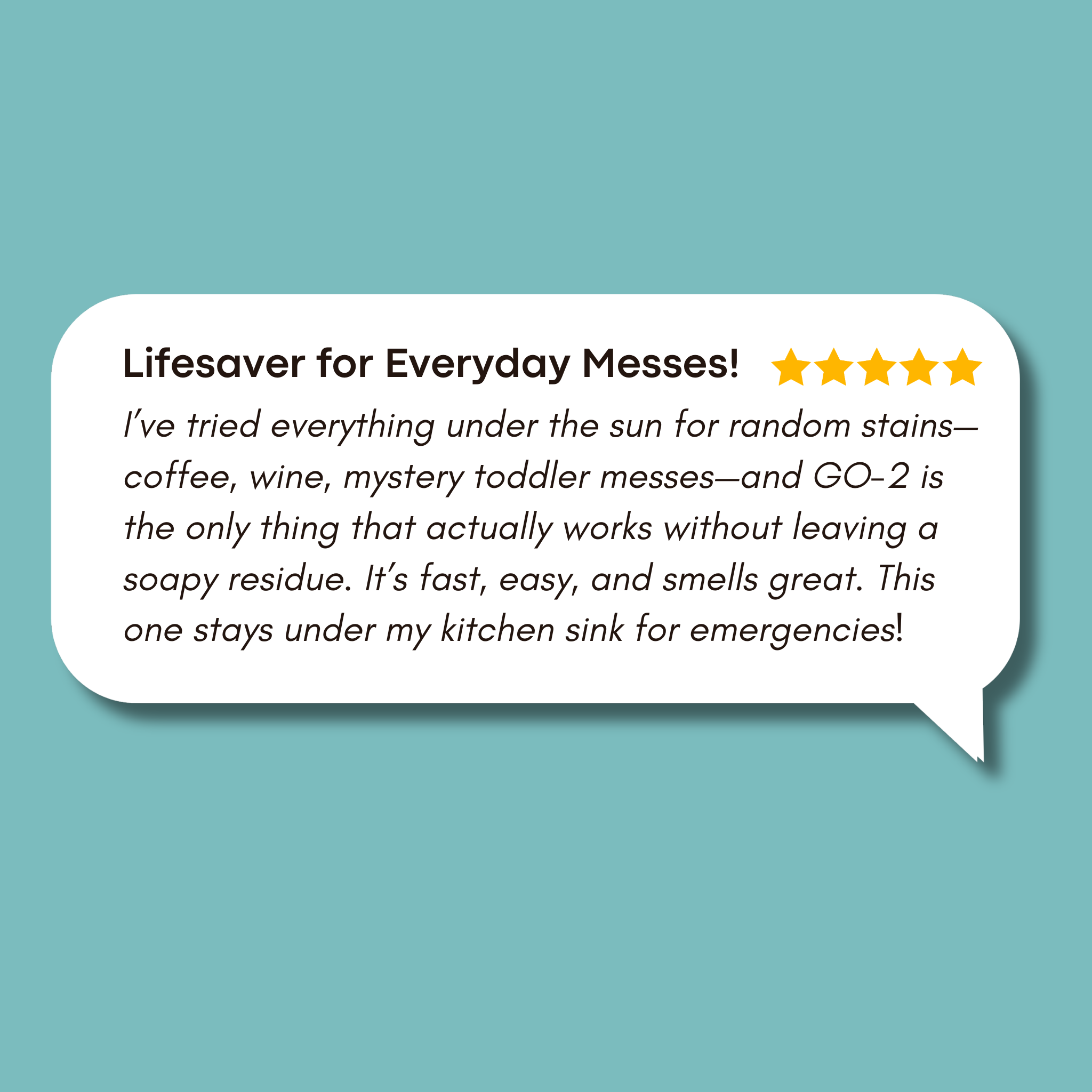 GO-2 Universal Carpet Stain Remover, 24 OZ, Instant Stain Remover for Everyday Accidents